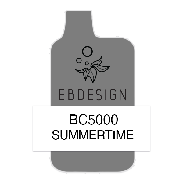 elfbar geschmäcker Summertime Elf Bar 5000 device