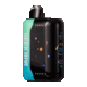 Close-up diagram showing dual mesh coil construction used in blue rancher b pop foger disposable vape devices